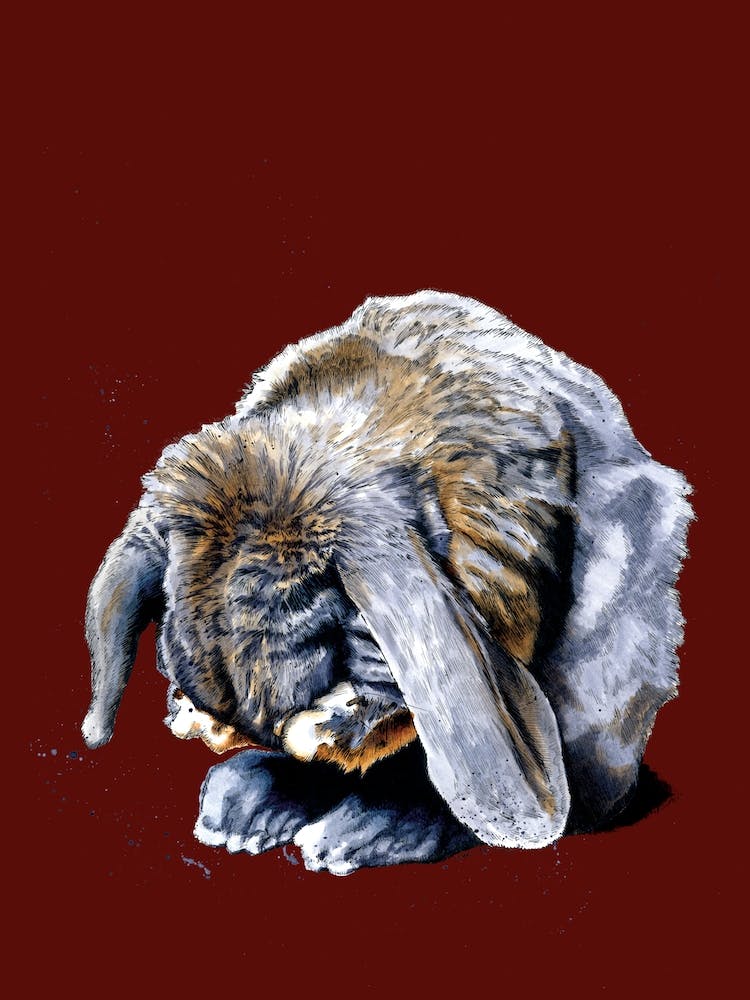 Belated Bunny On Red Oxide