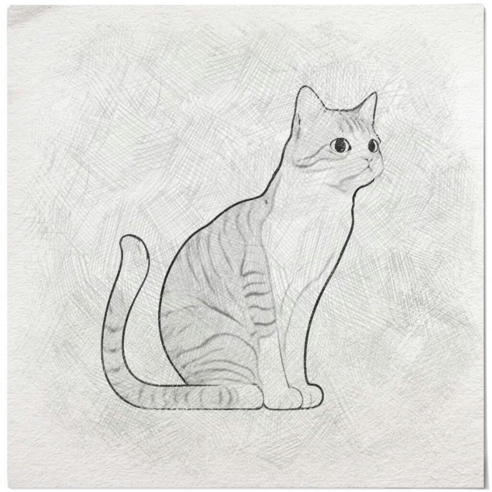 Cat Drawing