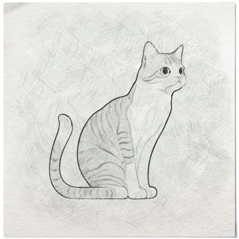 Cat Drawing