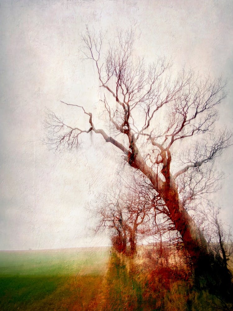Un Champ de Flodden