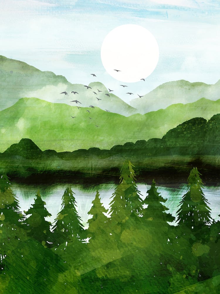 Forest Morning
