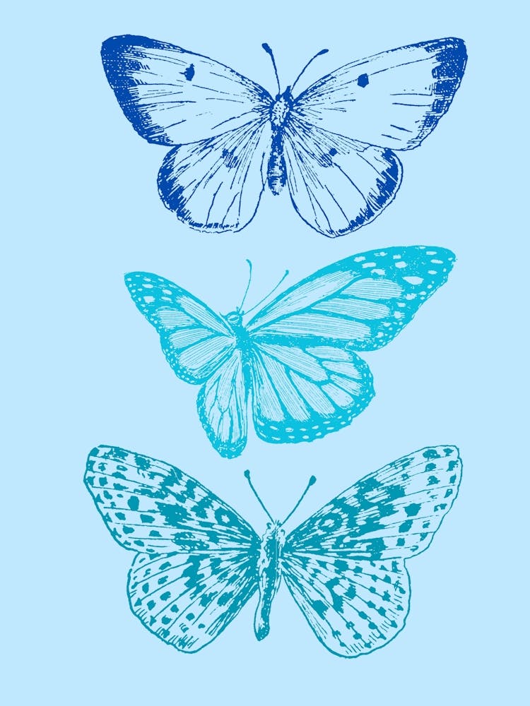 Blue Butterflies 1