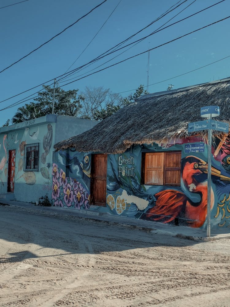 Street Art Bird On Isla Holbox Mexico