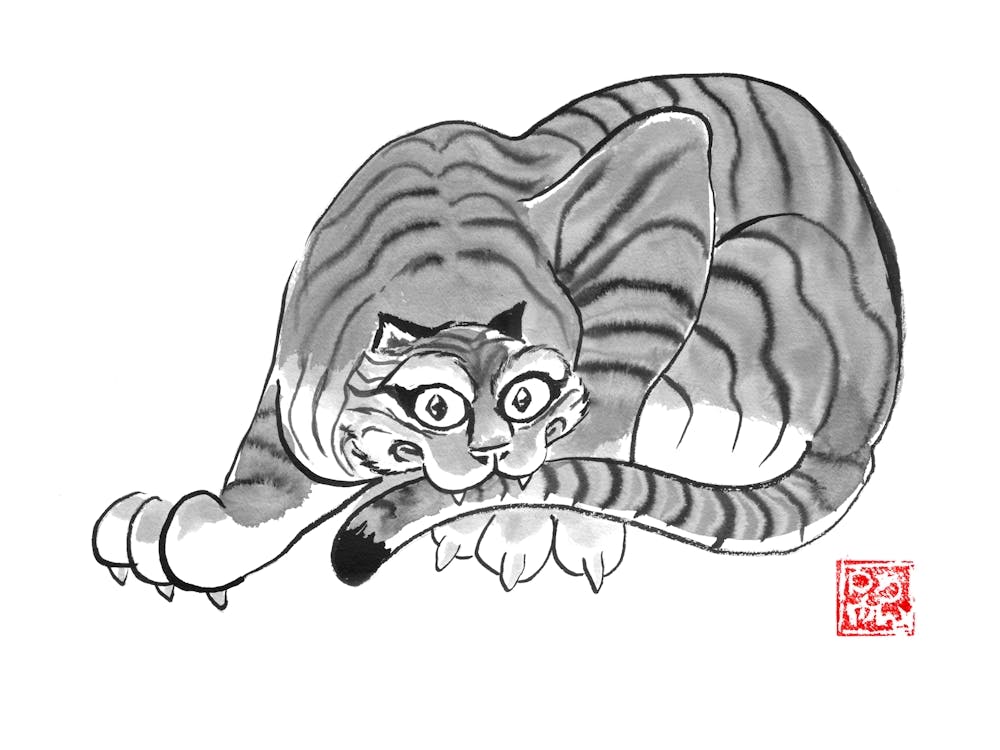 Tigerzeichnung