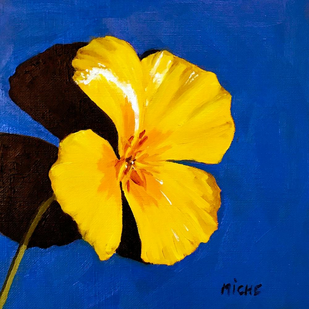 Californian Poppy 3