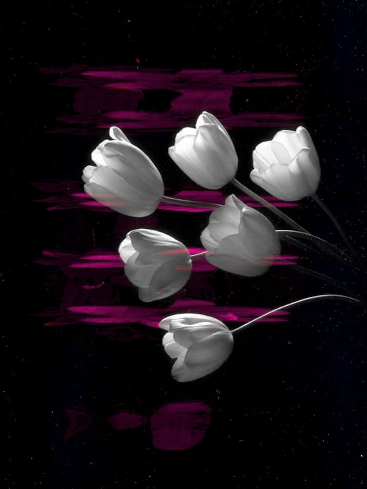 Flower Studies 9