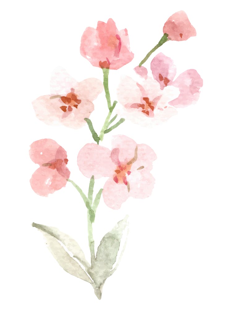 Pink Flowers Watercolor Painting