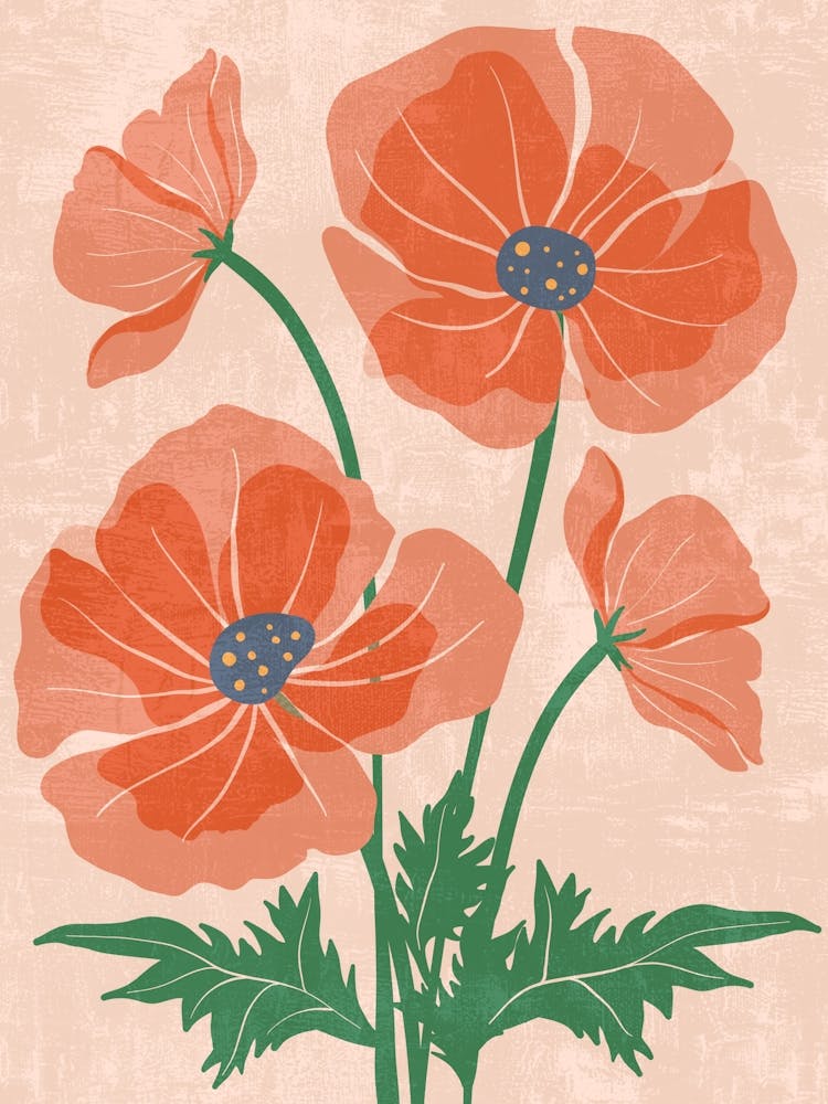Poppies 7