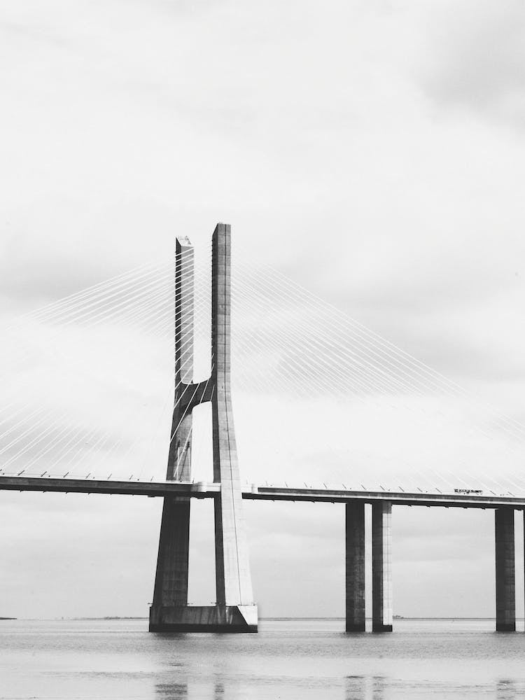 Bridges Across The Tagus