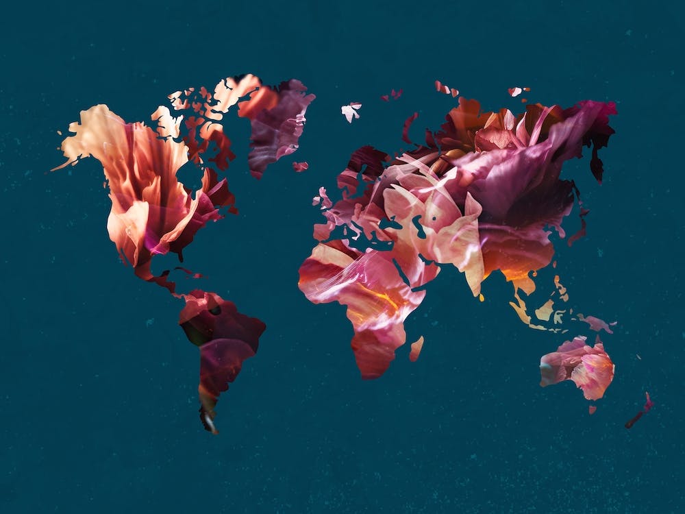 World Map With Flowers