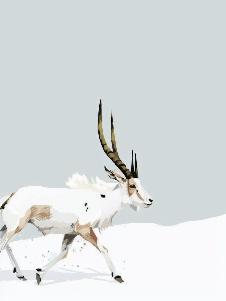 Antelope 20