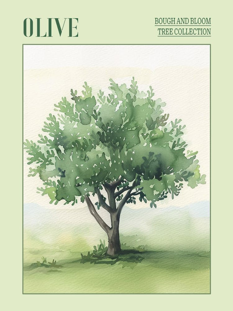 Olive Tree Atmospheric Watercolour Painting 4 Poster