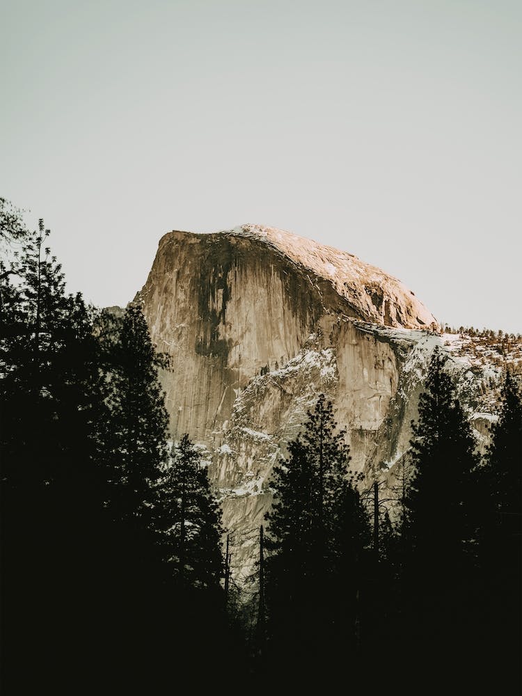 Half Dome Mountain Forest