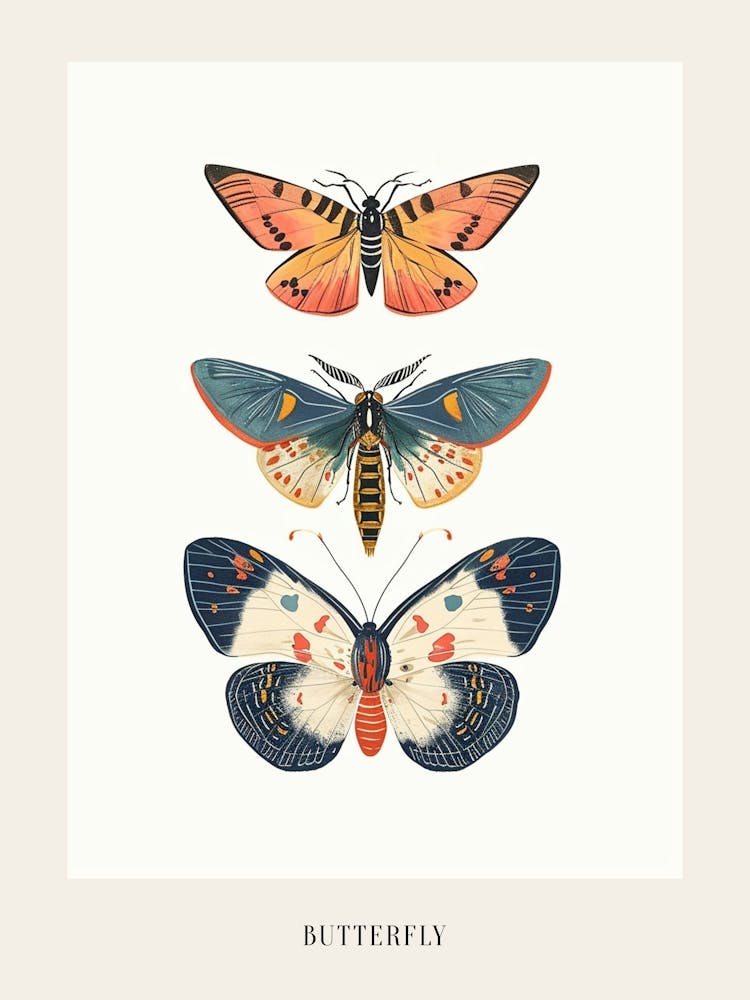 Colourful Insect Illustration Butterfly 13 Poster