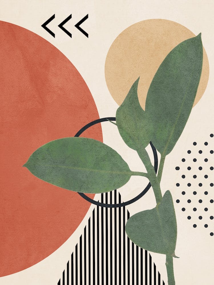 Nature Geometry Iii
