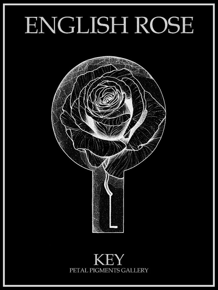 English Rose Key Line Drawing 3 Poster Inverted