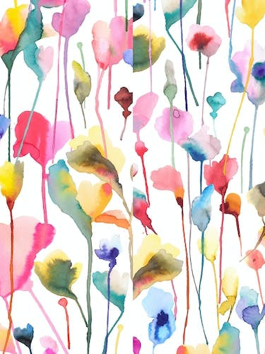 Summer Wild Rustic Flowers Colourful