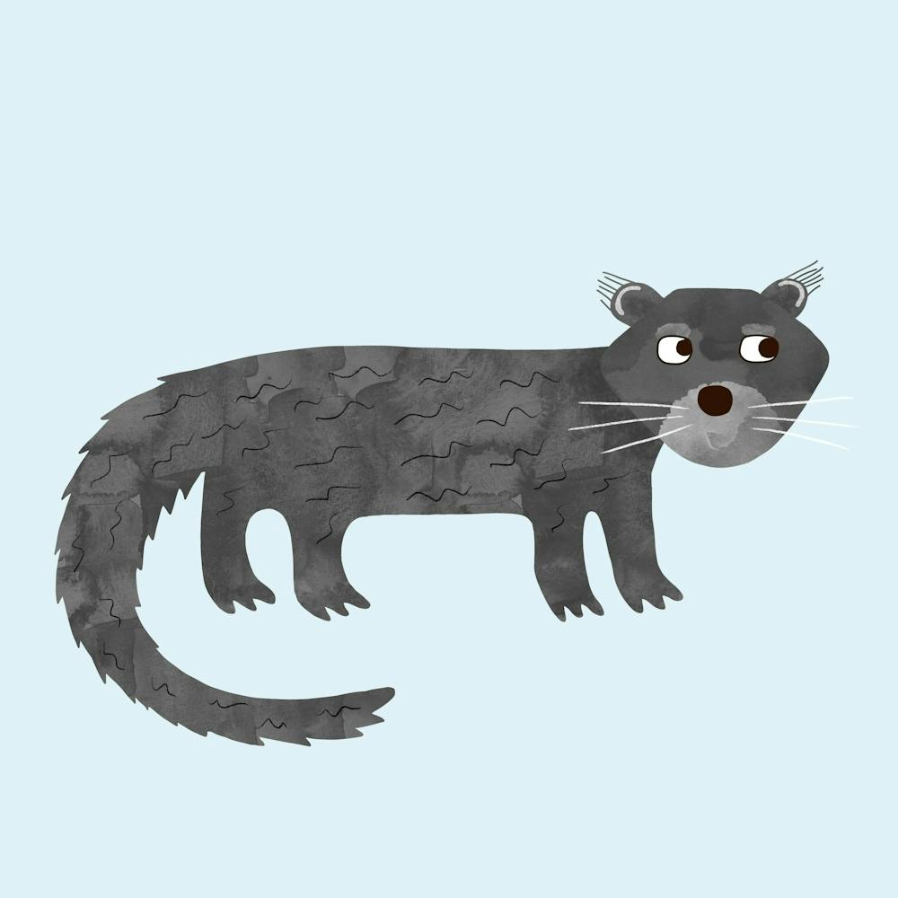 Binturong