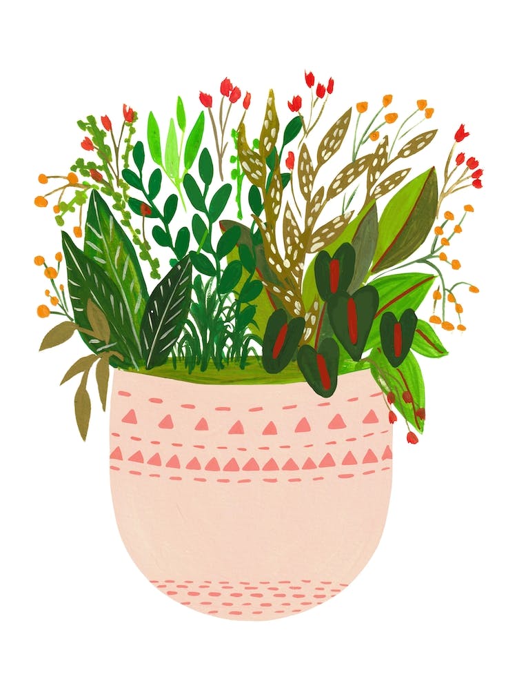 Assorted Potted Plants Elle