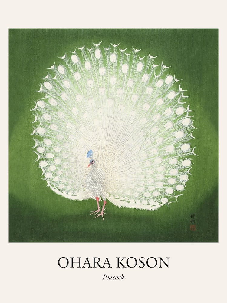 Peacock Poster