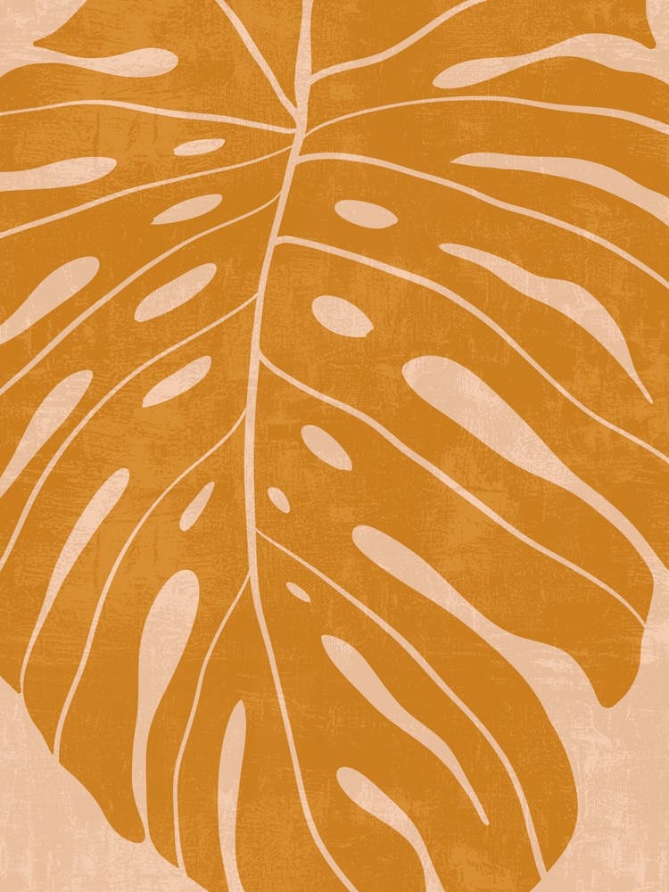 Feuille de Monstera 1