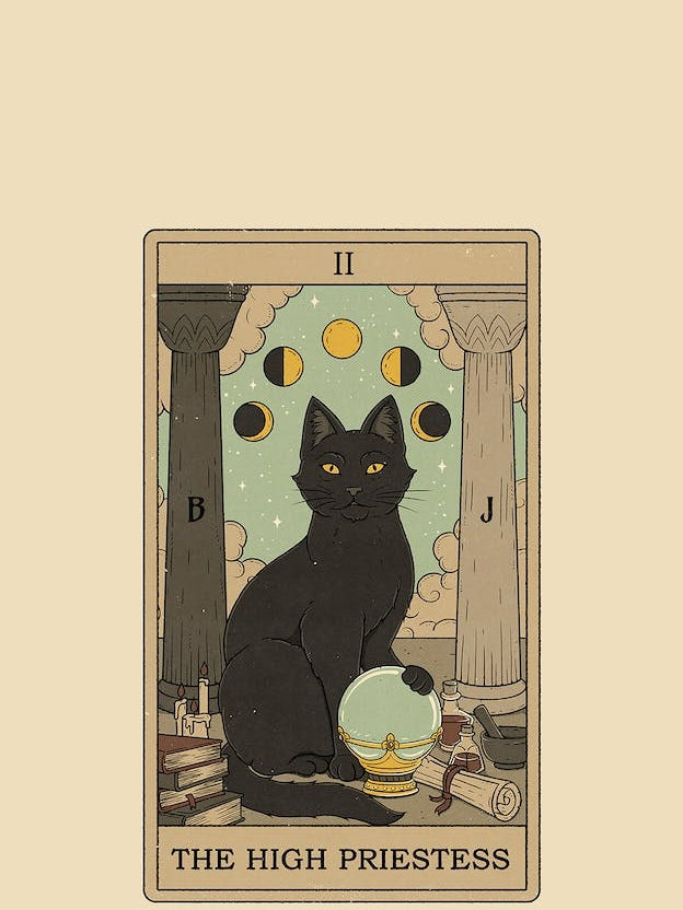 The High Priestess   Cats Tarot