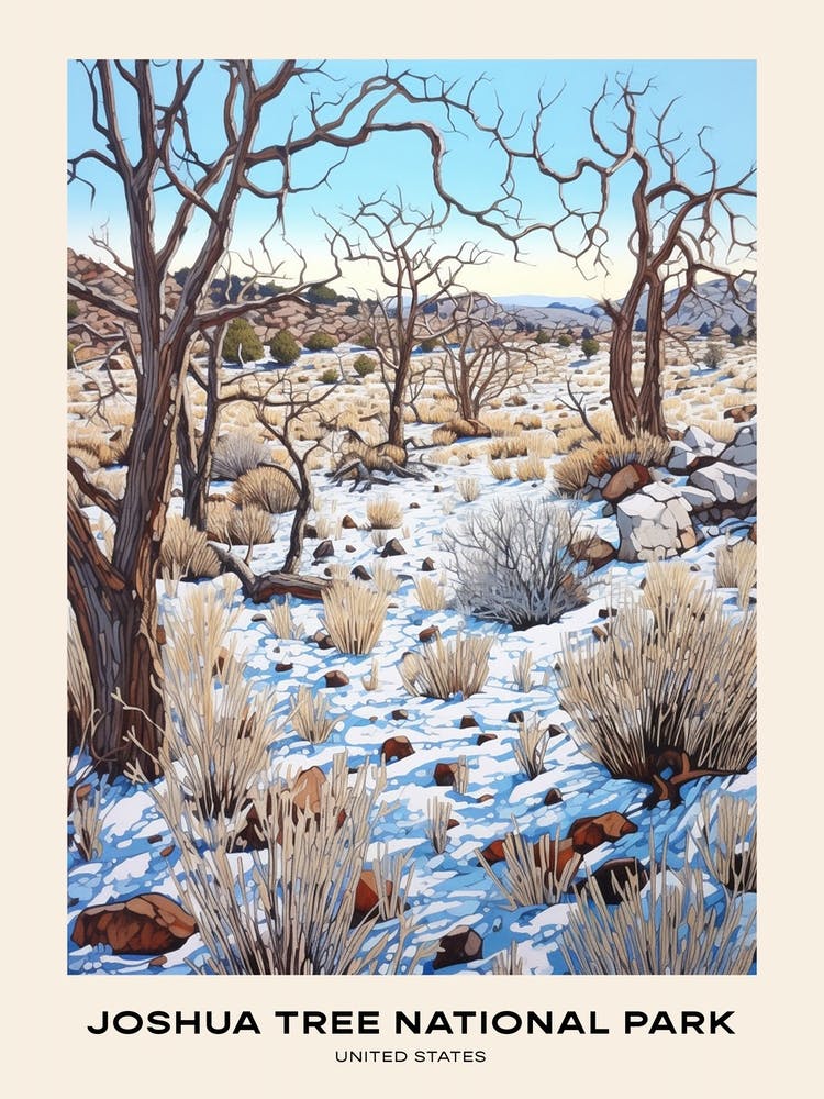 Joshua Tree National Park United States 1 Poster
