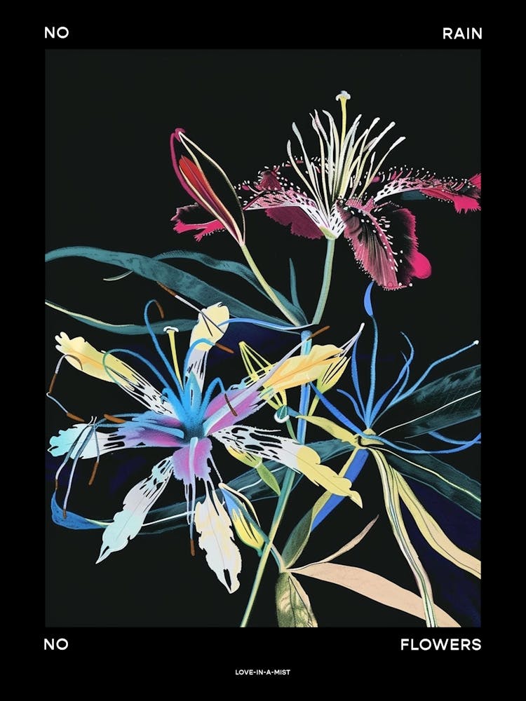 No Rain No Flowers Poster Love In A Mist Nigella 1