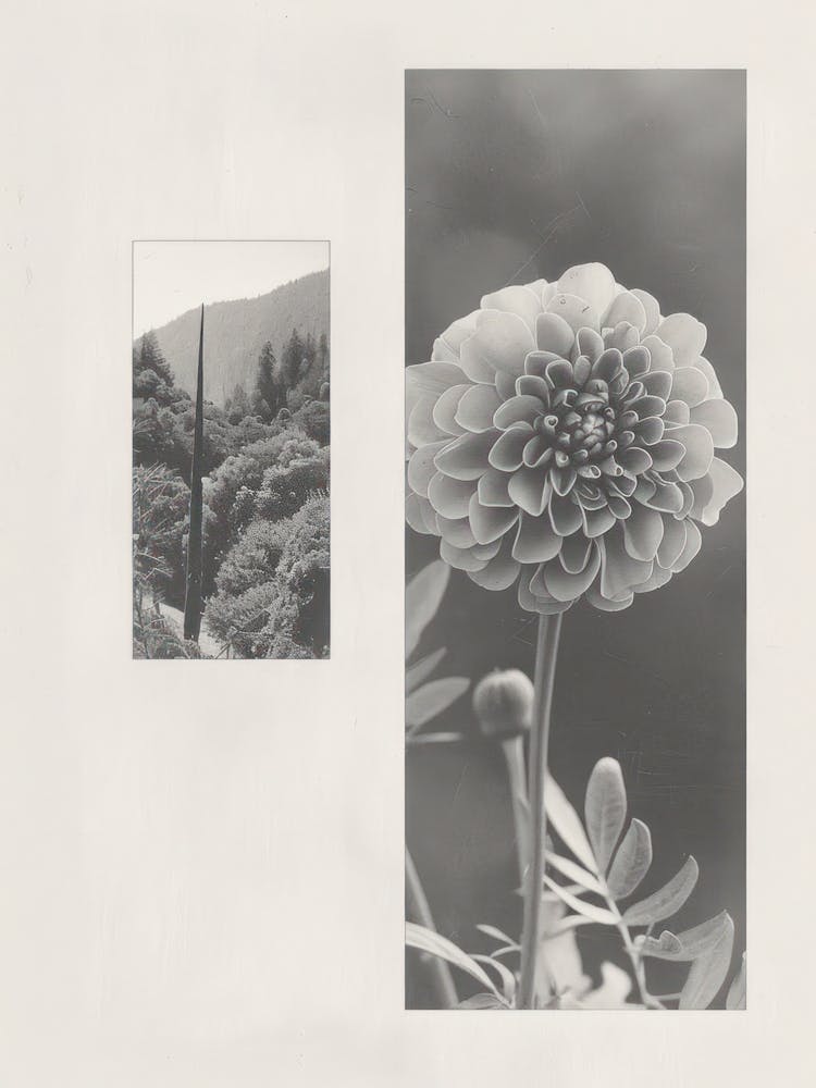 Marigold Flower Photo Collage 3