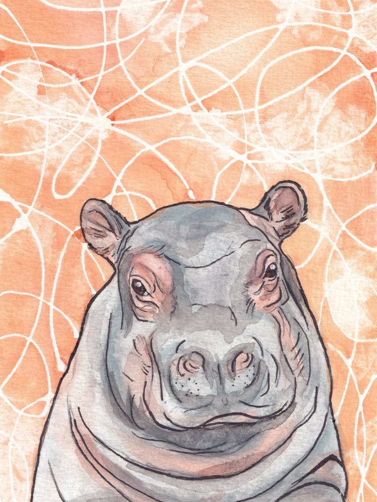Hippo