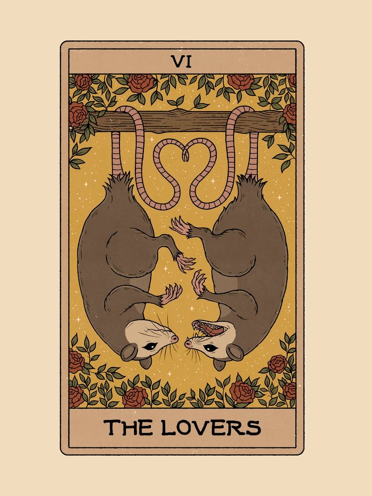 The Lovers - Possum Tarot