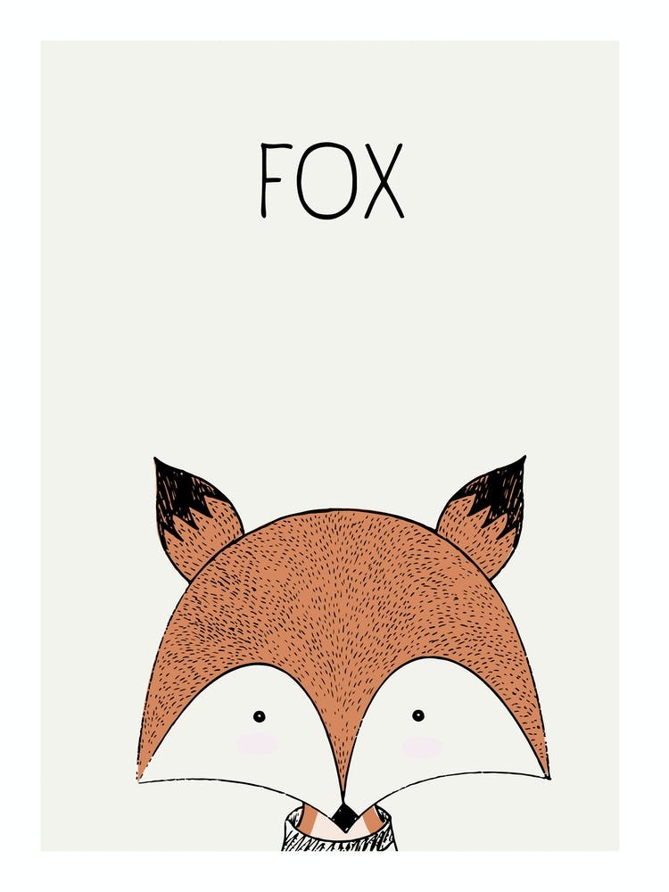 Animal Collection Tavola Disegno 1