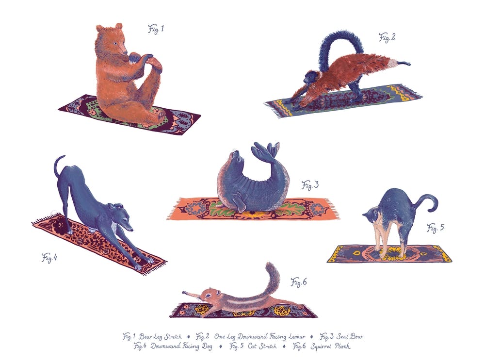 Animal Yoga