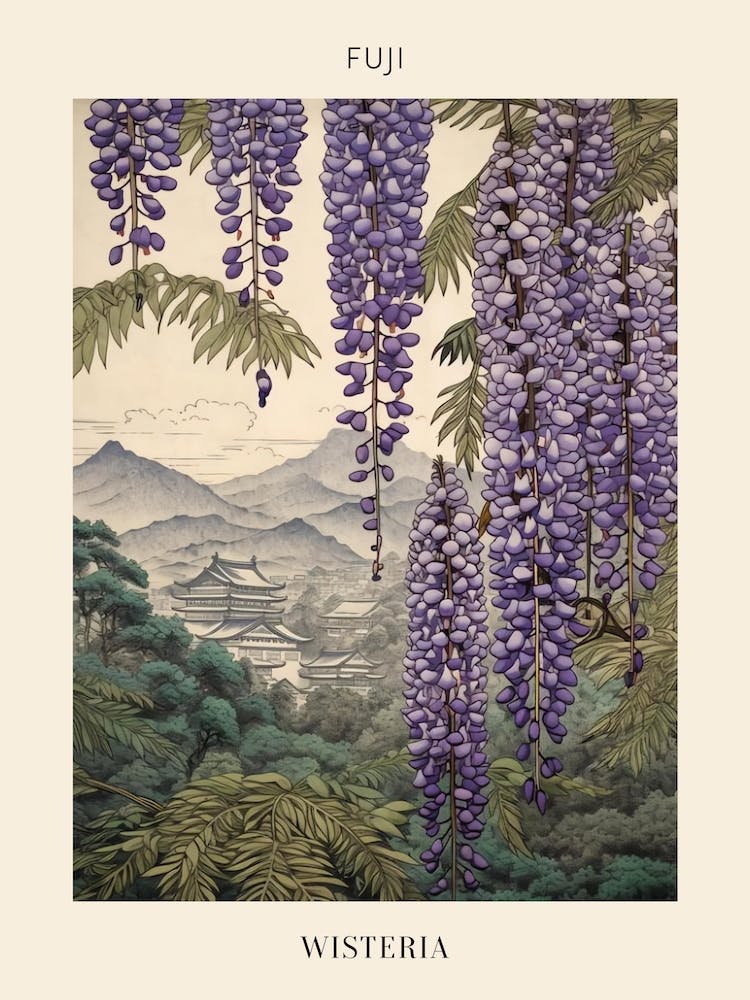 Fuji Wisteria 2 Japanese Botanical Illustration Poster