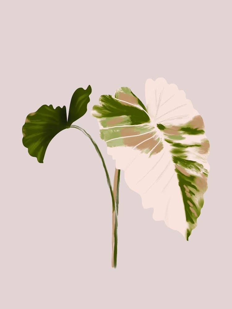 Filodentro Leaves