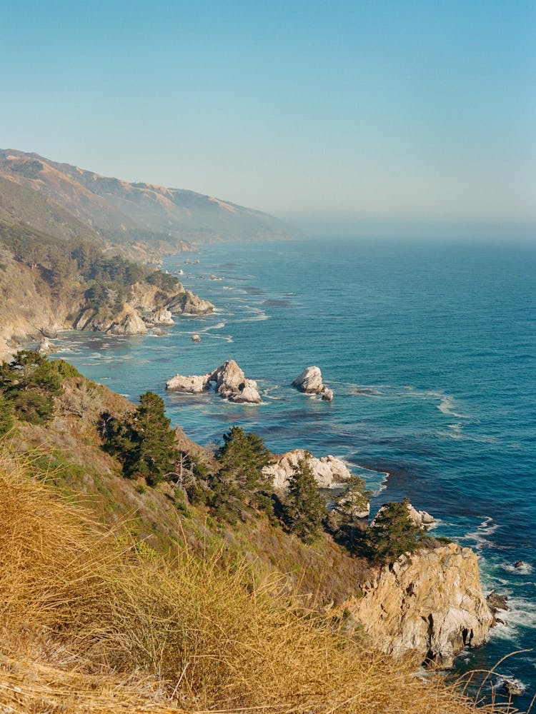 Big Sur VIII on Film