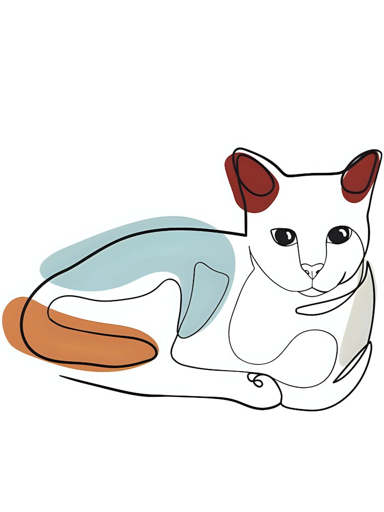 Cat Laying Down