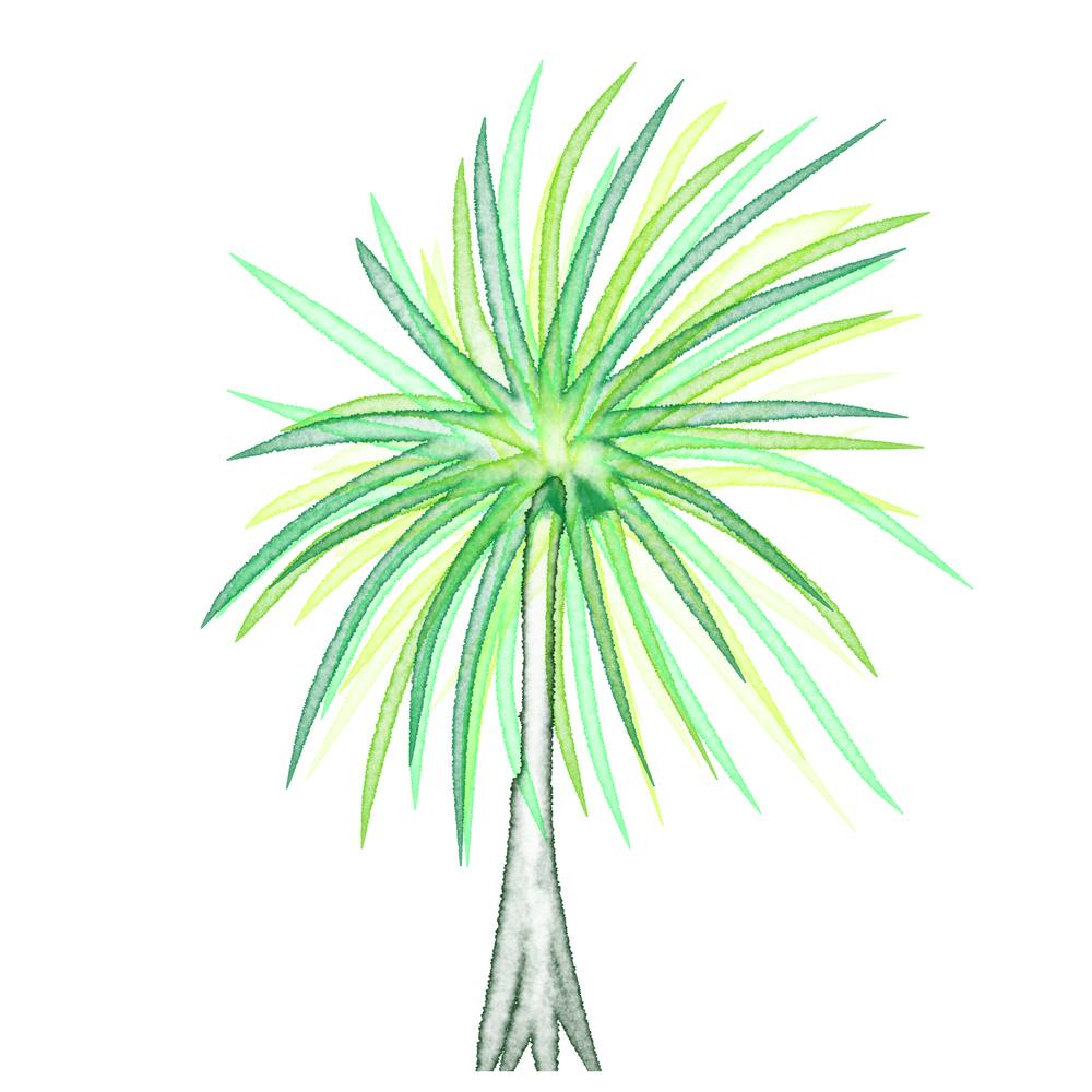 Palm Tree