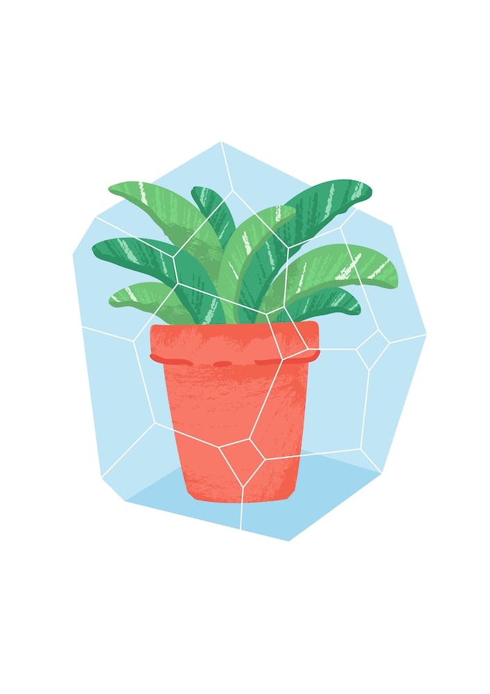 Potted Plant #3