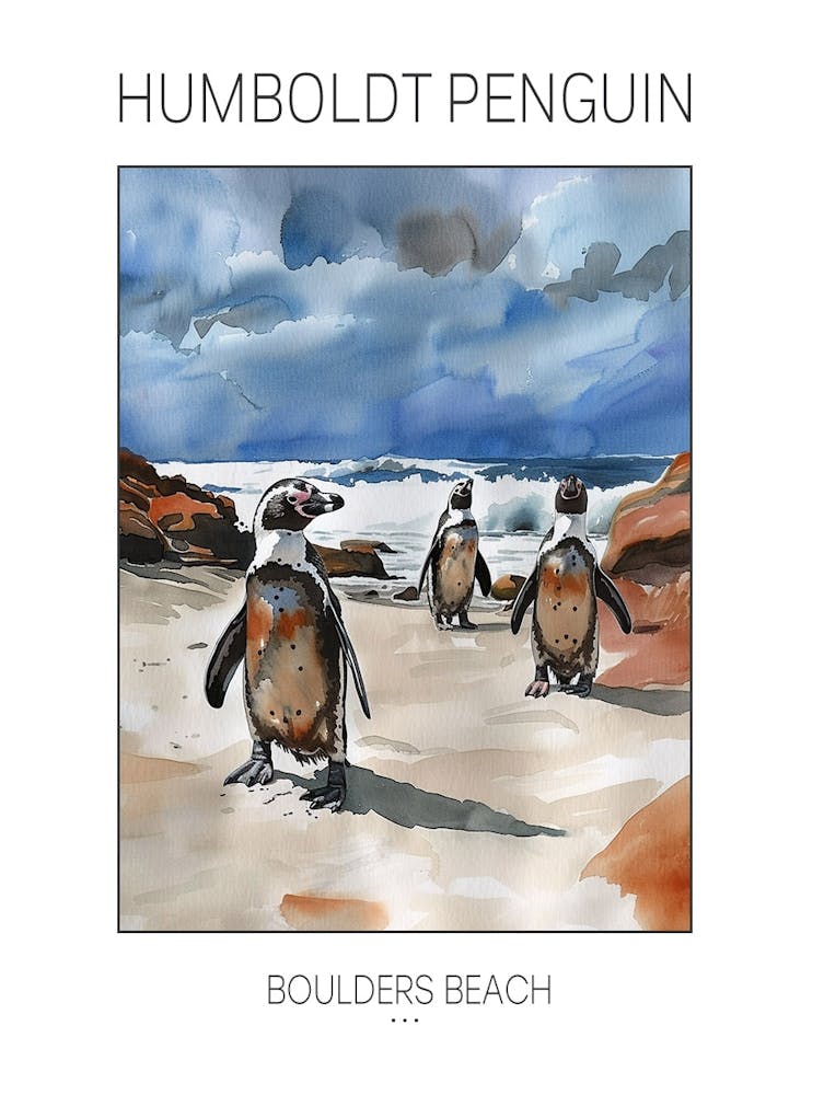 Humboldt Penguin Boulders Beach Simons Town Watercolour Painting 2 Poster