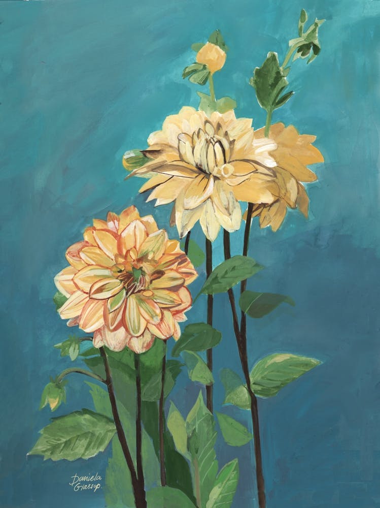 Yellow Dahlias on a Blue Background