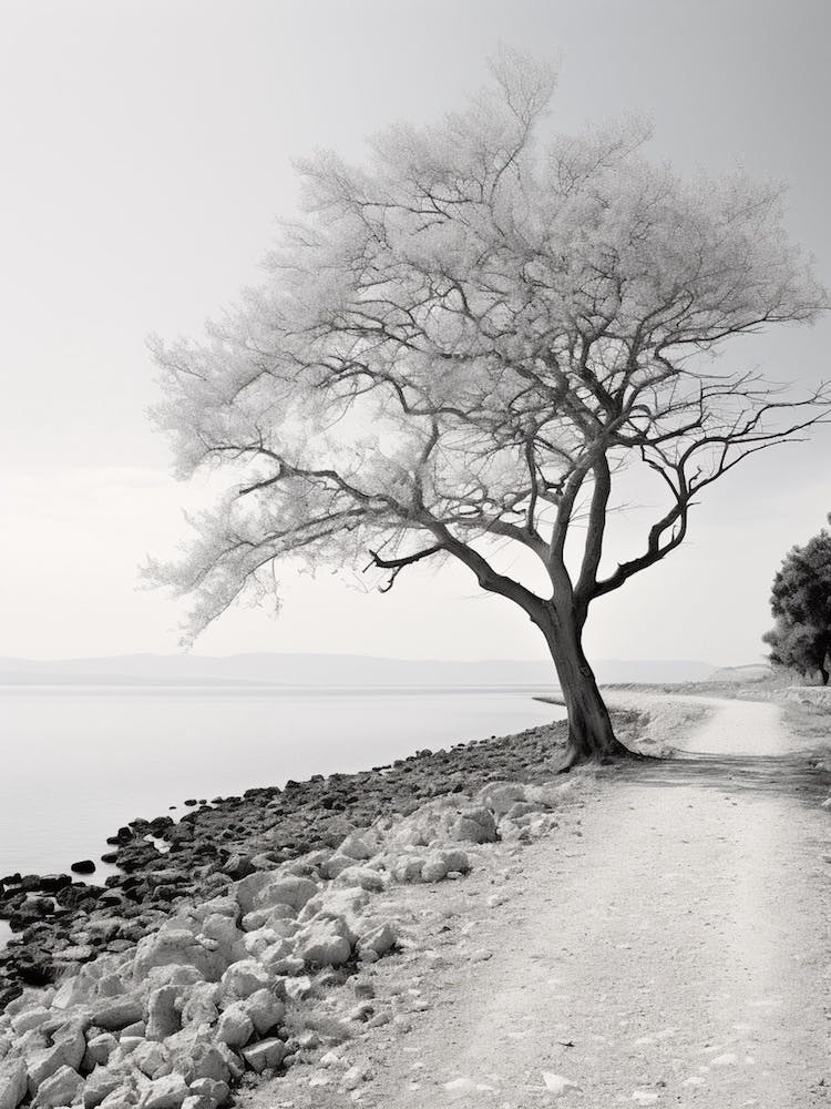 Gallipoli, Italy, Black And White Photography 3