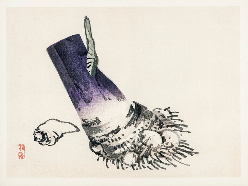 Taro, Kōno Bairei