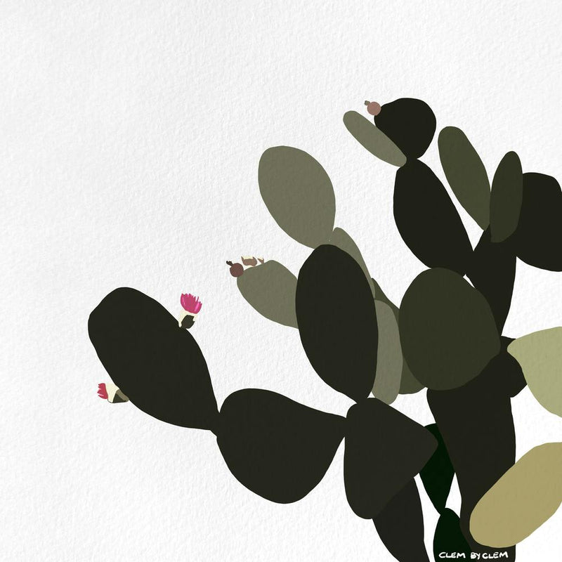 Cactusito