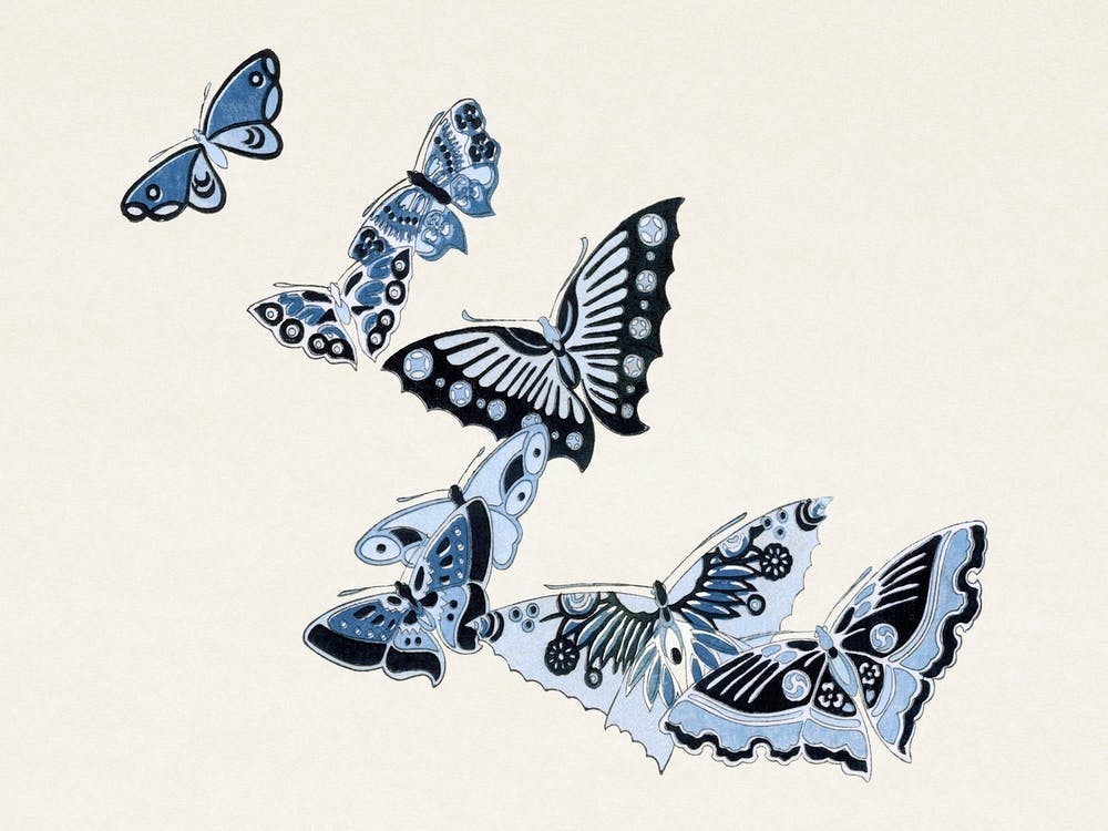 Japanese Butterfly, Cho Senshu (9)