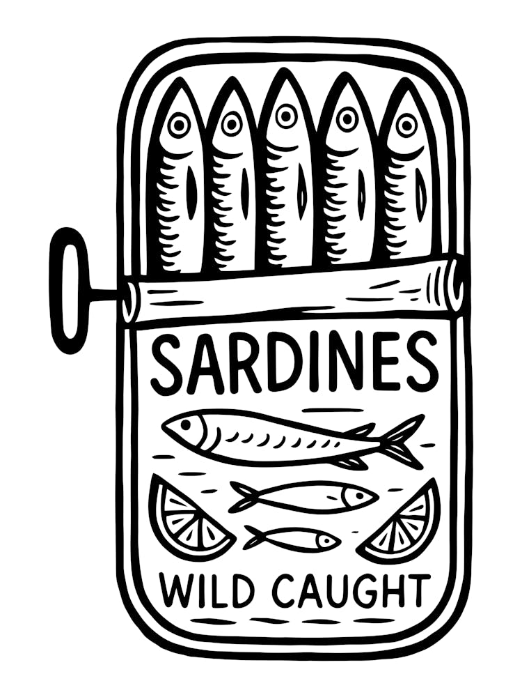Sardines Wild Caught 4