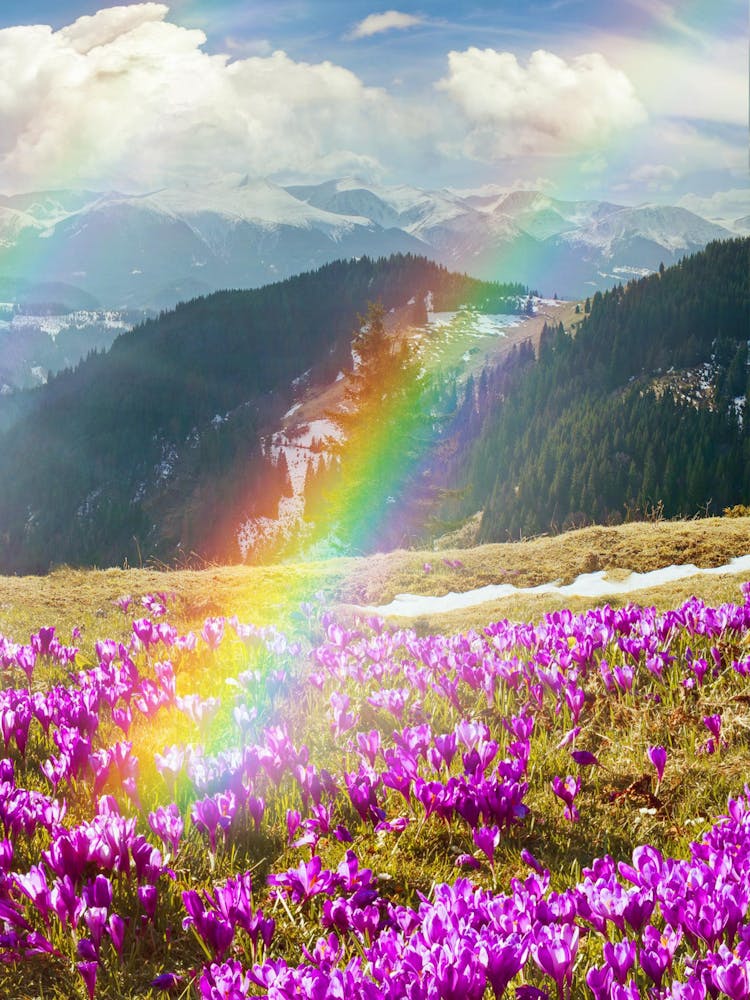 Rainbow In The Mountains