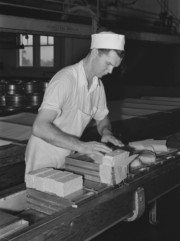 Putting The Curd Into Molds For Pressure, Tillamook Cheese Plant, Tillamook, Oregon By Russell Lee