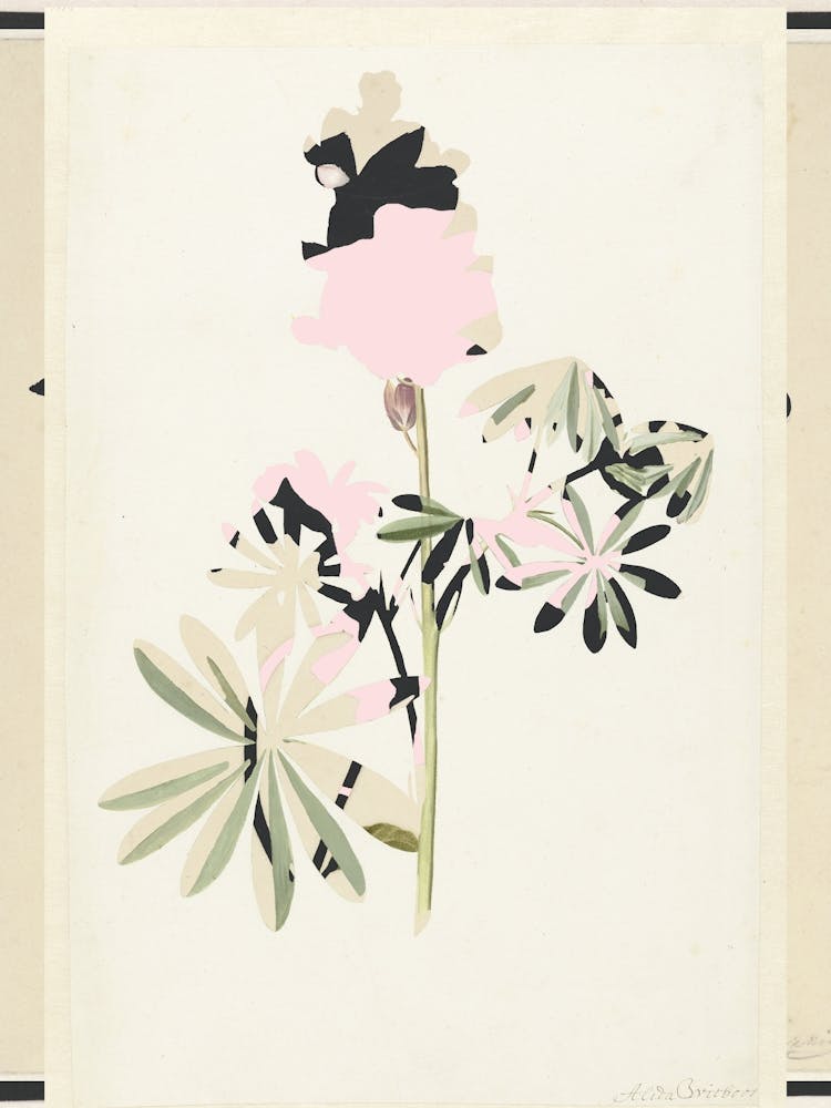 La Première Plante · Lost Lu