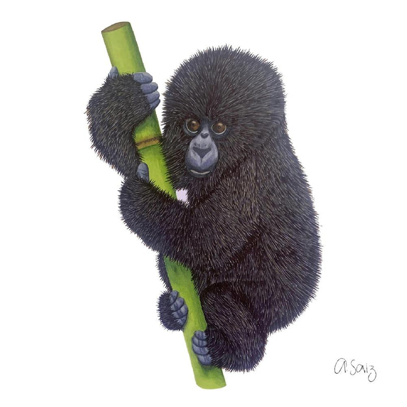Baby Gorilla. 1